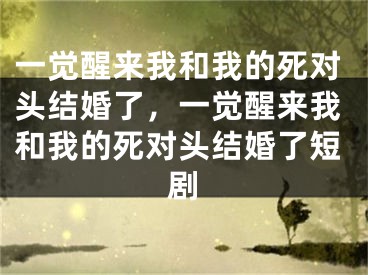 一觉醒来我和我的死对头结婚了,一觉醒来我和我的死对头结婚了短剧