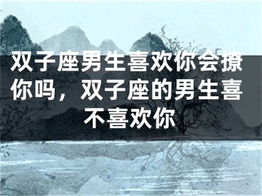 双子座男生喜欢你会撩你吗，双子座的男生喜不喜欢你