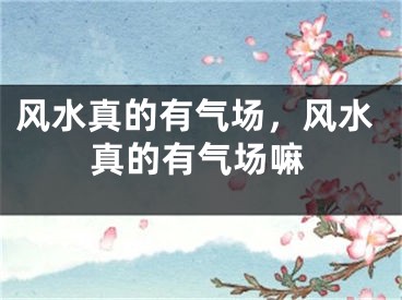 风水真的有气场,风水真的有气场嘛