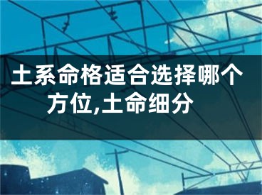土系命格适合选择哪个方位,土命细分