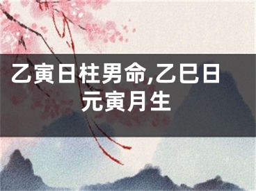 乙寅日柱男命,乙巳日元寅月生