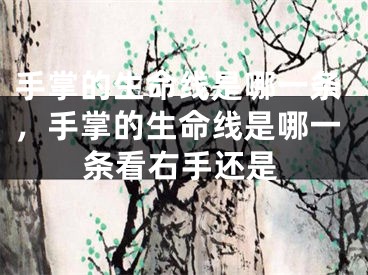 手掌的生命线是哪一条，手掌的生命线是哪一条看右手还是