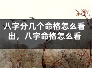 八字分几个命格怎么看出，八字命格怎么看