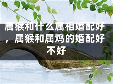 属猴和什么属相婚配好，属猴和属鸡的婚配好不好