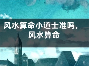 风水算命小道士准吗,风水算命