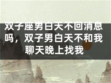 双子座男白天不回消息吗，双子男白天不和我聊天晚上找我