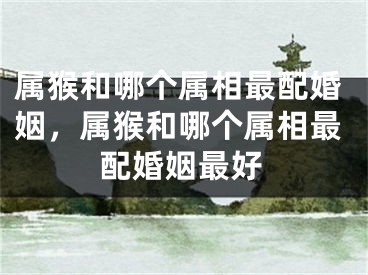 属猴和哪个属相最配婚姻，属猴和哪个属相最配婚姻最好