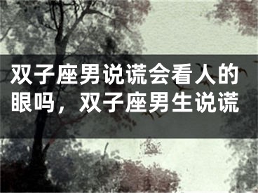 双子座男说谎会看人的眼吗，双子座男生说谎