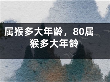 属猴多大年龄，80属猴多大年龄