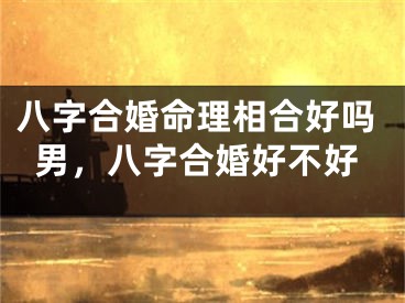 八字合婚命理相合好吗男，八字合婚好不好