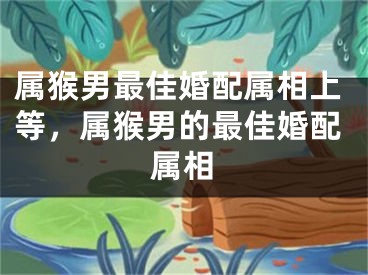 属猴男最佳婚配属相上等，属猴男的最佳婚配属相