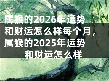 属猴的2026年运势和财运怎么样每个月，属猴的2025年运势和财运怎么样