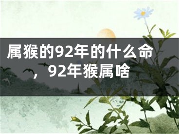 属猴的92年的什么命，92年猴属啥