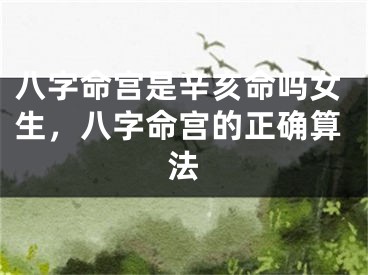 八字命宫是辛亥命吗女生,八字命宫的正确算法