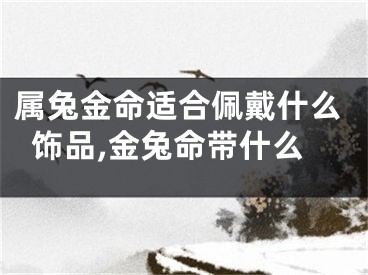 属兔金命适合佩戴什么饰品,金兔命带什么