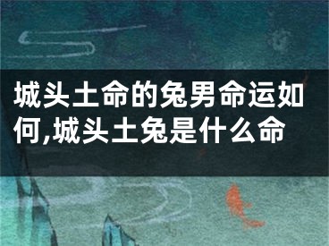 城头土命的兔男命运如何,城头土兔是什么命