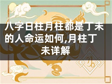 八字日柱月柱都是丁未的人命运如何,月柱丁未详解