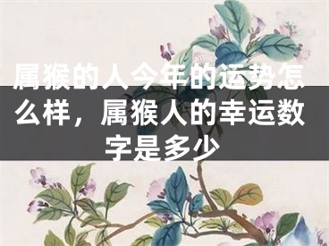 属猴的人今年的运势怎么样，属猴人的幸运数字是多少