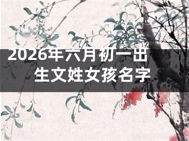 2026年六月初一出生文姓女孩名字