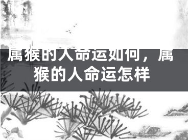 属猴的人命运如何，属猴的人命运怎样