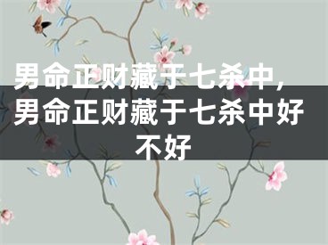 男命正财藏于七杀中,男命正财藏于七杀中好不好