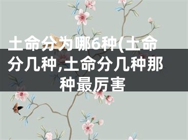 土命分为哪6种(土命分几种,土命分几种那种最厉害