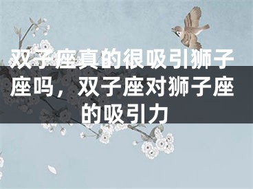 双子座真的很吸引狮子座吗，双子座对狮子座的吸引力