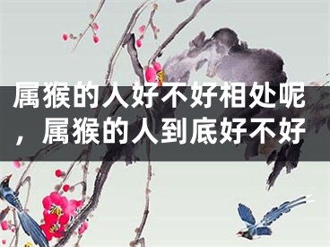 属猴的人好不好相处呢，属猴的人到底好不好