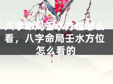 八字命局壬水方位怎么看,八字命局壬水方位怎么看的
