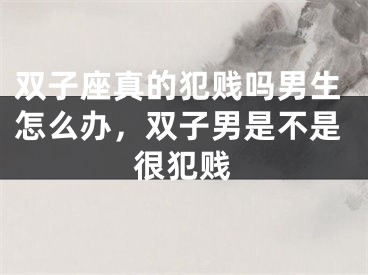 双子座真的犯贱吗男生怎么办，双子男是不是很犯贱