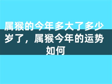 属猴的今年多大了多少岁了，属猴今年的运势如何
