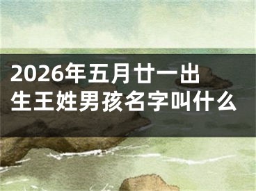 2026年五月廿一出生王姓男孩名字叫什么