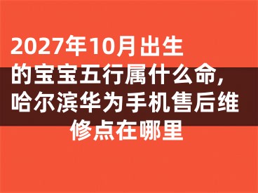 2027年10月出生的宝宝五行属什么命,哈尔滨华为手机售后维修点在哪里