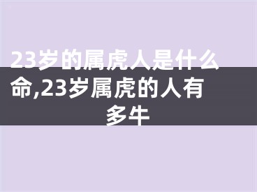 23岁的属虎人是什么命,23岁属虎的人有多牛