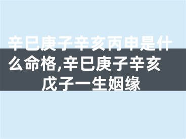辛巳庚子辛亥丙申是什么命格,辛巳庚子辛亥戊子一生姻缘