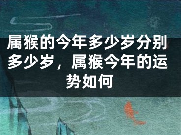 属猴的今年多少岁分别多少岁，属猴今年的运势如何