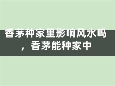 香茅种家里影响风水吗，香茅能种家中