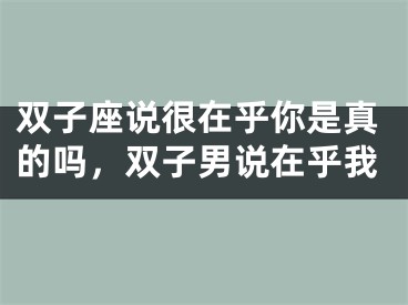双子座说很在乎你是真的吗，双子男说在乎我