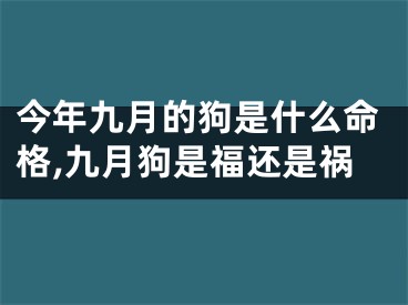 今年九月的狗是什么命格,九月狗是福还是祸