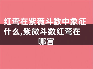 红鸾在紫薇斗数中象征什么,紫微斗数红鸾在哪宫