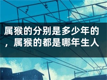 属猴的分别是多少年的，属猴的都是哪年生人