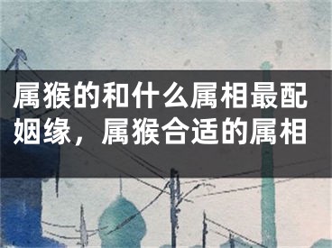 属猴的和什么属相最配姻缘，属猴合适的属相