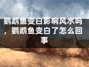 鹦鹉鱼变白影响风水吗，鹦鹉鱼变白了怎么回事