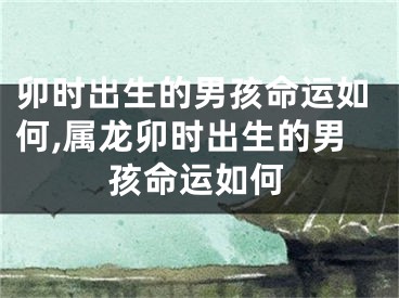 卯时出生的男孩命运如何,属龙卯时出生的男孩命运如何