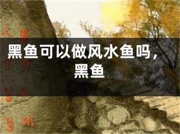 黑鱼可以做风水鱼吗，黑鱼