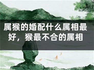 属猴的婚配什么属相最好，猴最不合的属相
