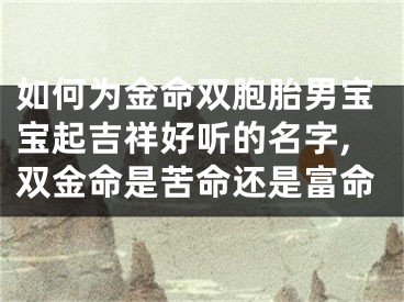 如何为金命双胞胎男宝宝起吉祥好听的名字,双金命是苦命还是富命