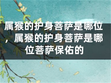 属猴的护身菩萨是哪位，属猴的护身菩萨是哪位菩萨保佑的