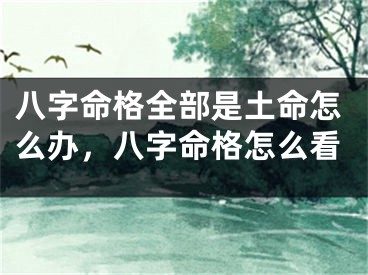 八字命格全部是土命怎么办,八字命格怎么看