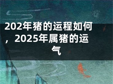 202年猪的运程如何,2025年属猪的运气